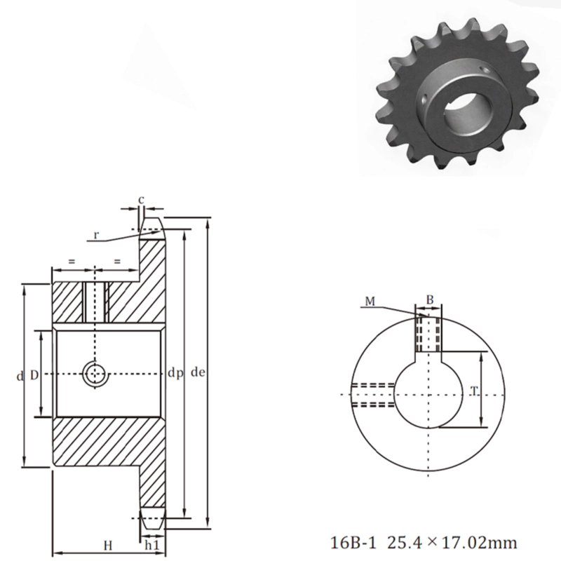 EP16B-1 欧洲标准系列成品孔径链轮 1"×17.02mm 自动变速器零件产品-EP16B 欧洲成品孔径链轮 1×17.02mm